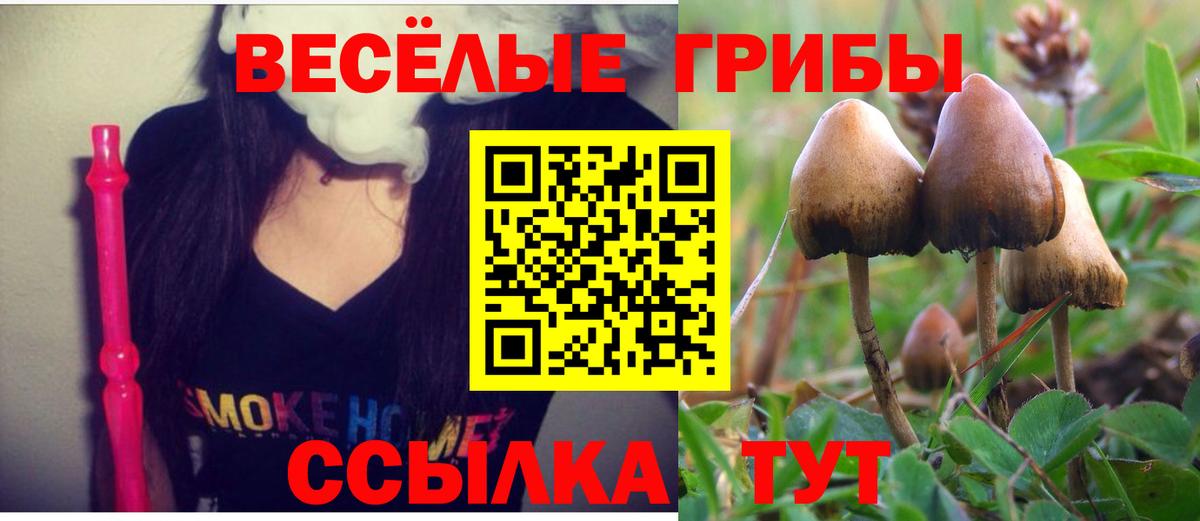 Галлюциногенные грибы Magic Shrooms Ахтубинск